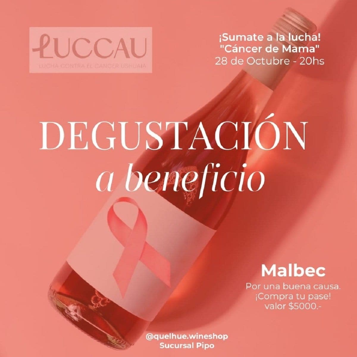 LUCCAU: DEGUSTACIÓN A BENEFICIO.