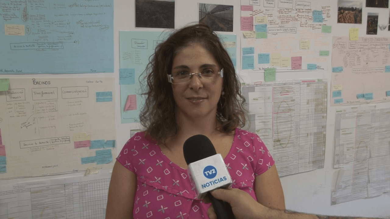 ESTUDIOS EN LA PRODUCCIÓN DE HONGOS