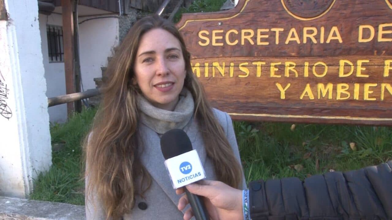 ACCIONES SUSTENTABLES EN ACTIVIDADES PRODUCTIVAS