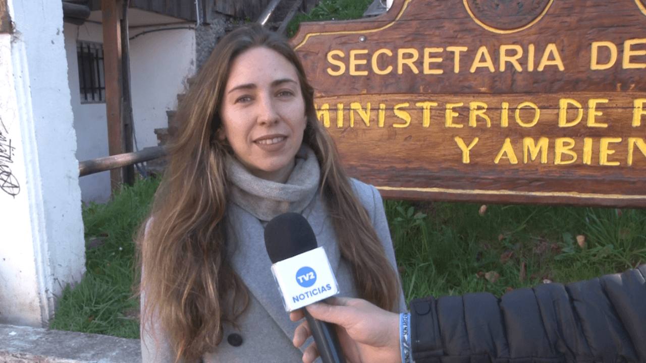 ACCIONES SUSTENTABLES EN ACTIVIDADES PRODUCTIVAS