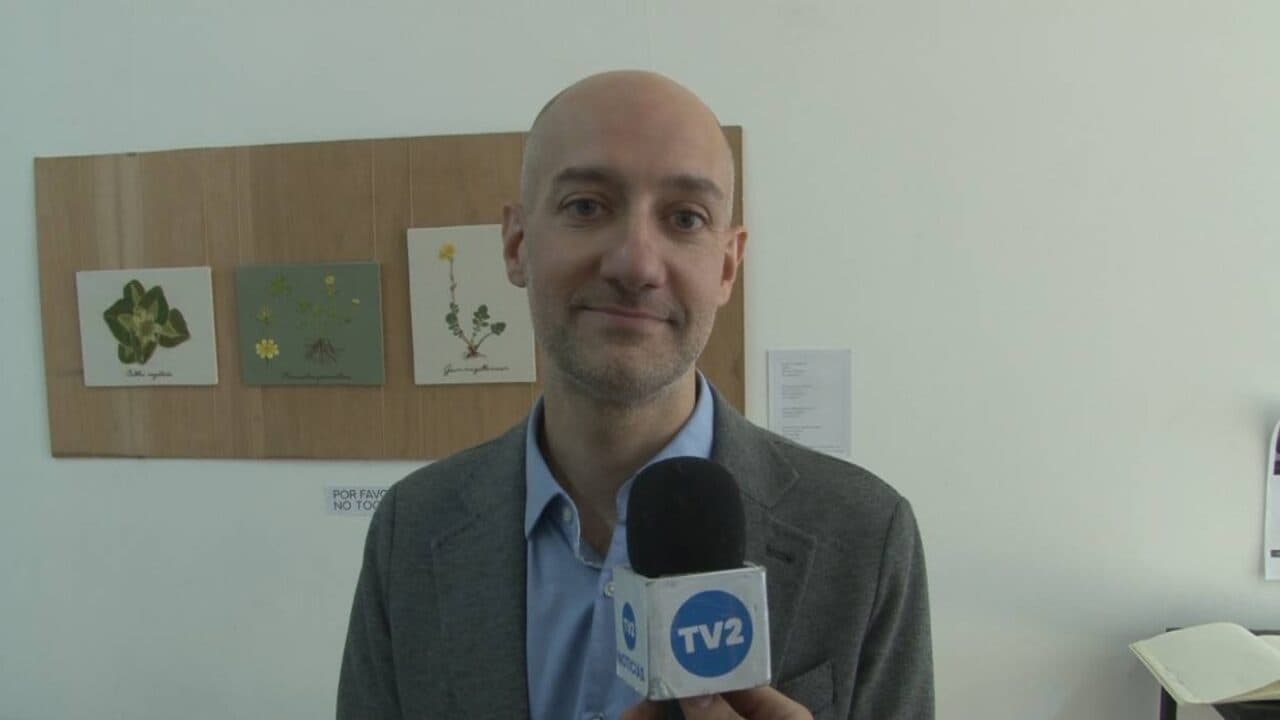 ELECCIONES EN LA UNTDF