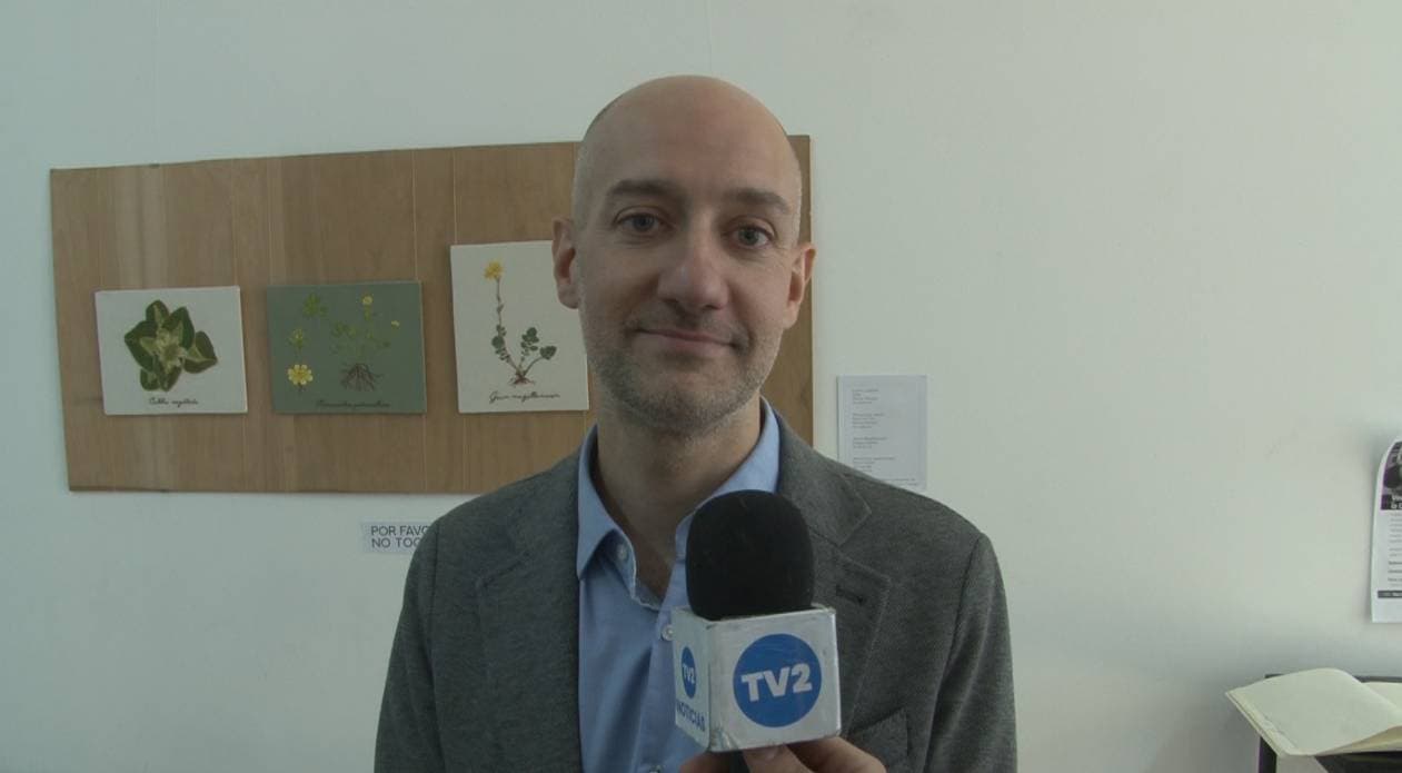 ELECCIONES EN LA UNTDF