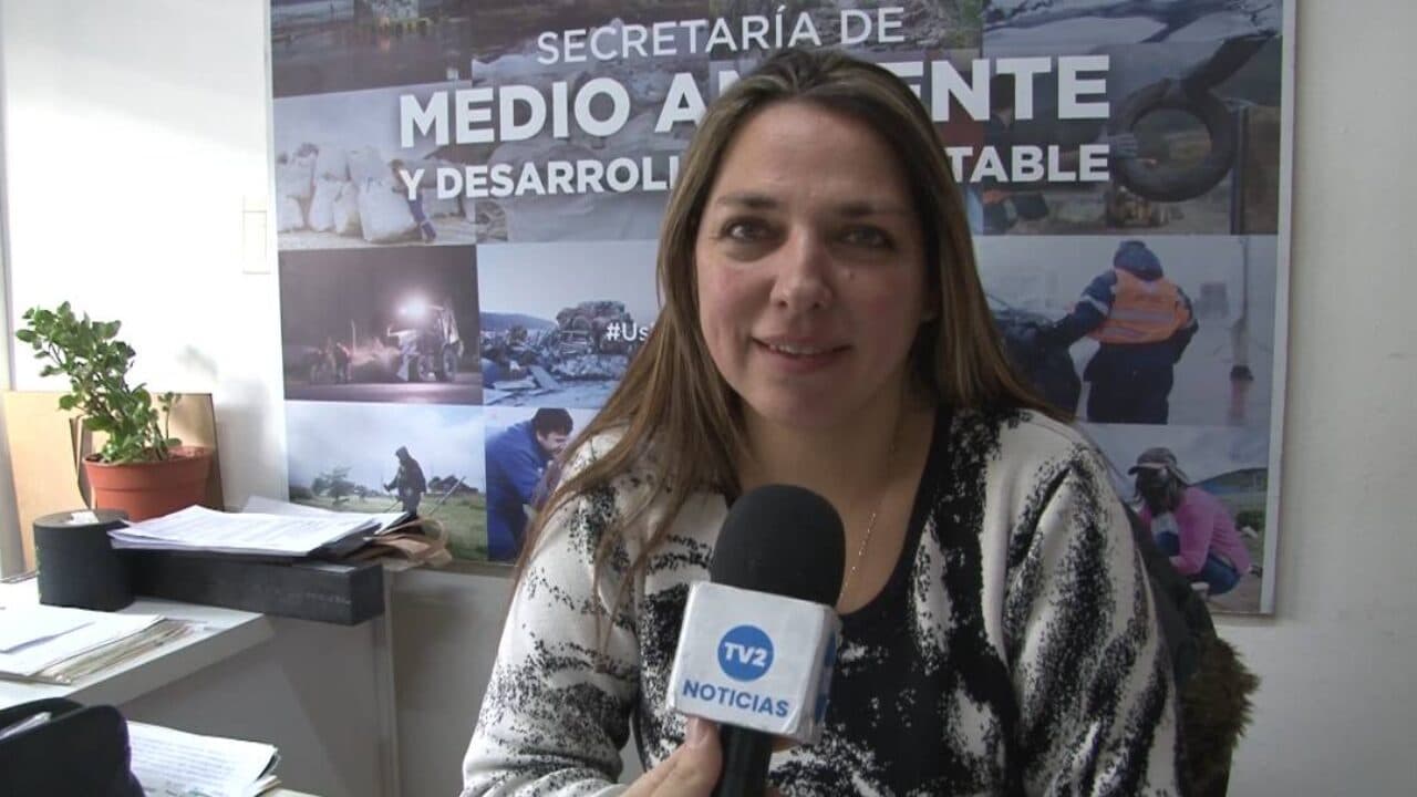 LIMPIEZA DE VEREDAS