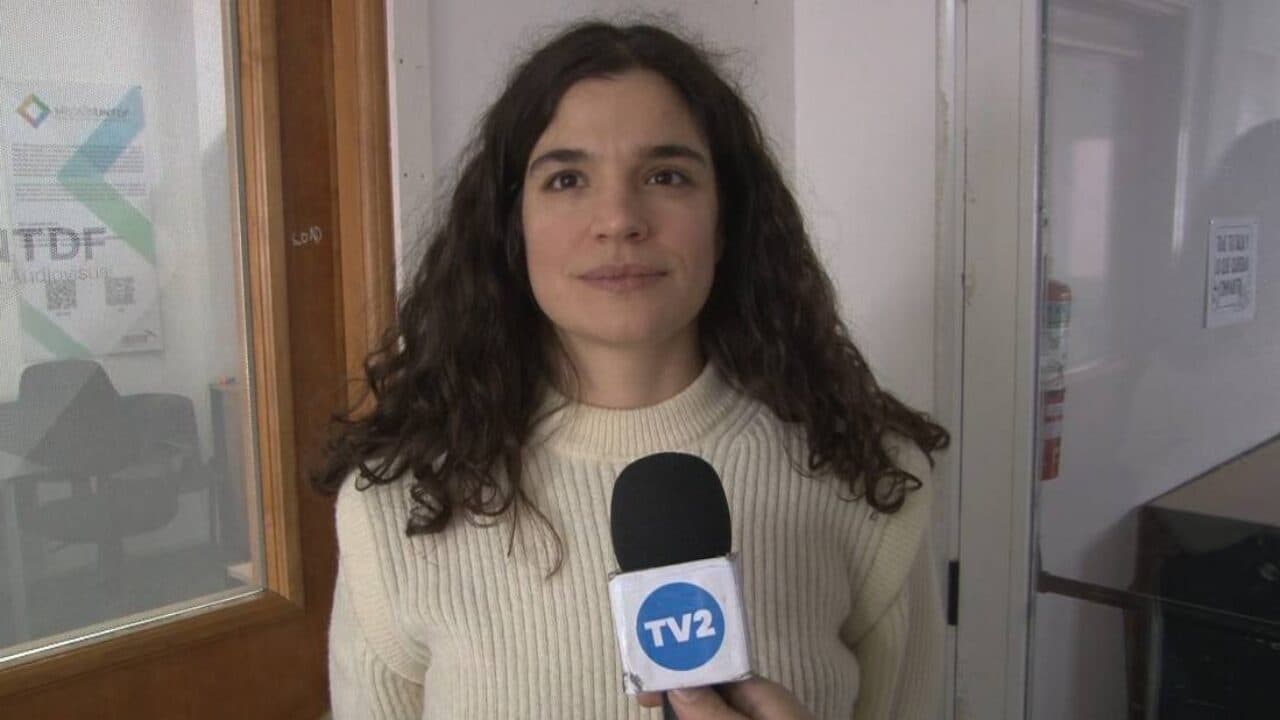 FINANCIAMIENTO POR PARTE DEL INCAA
