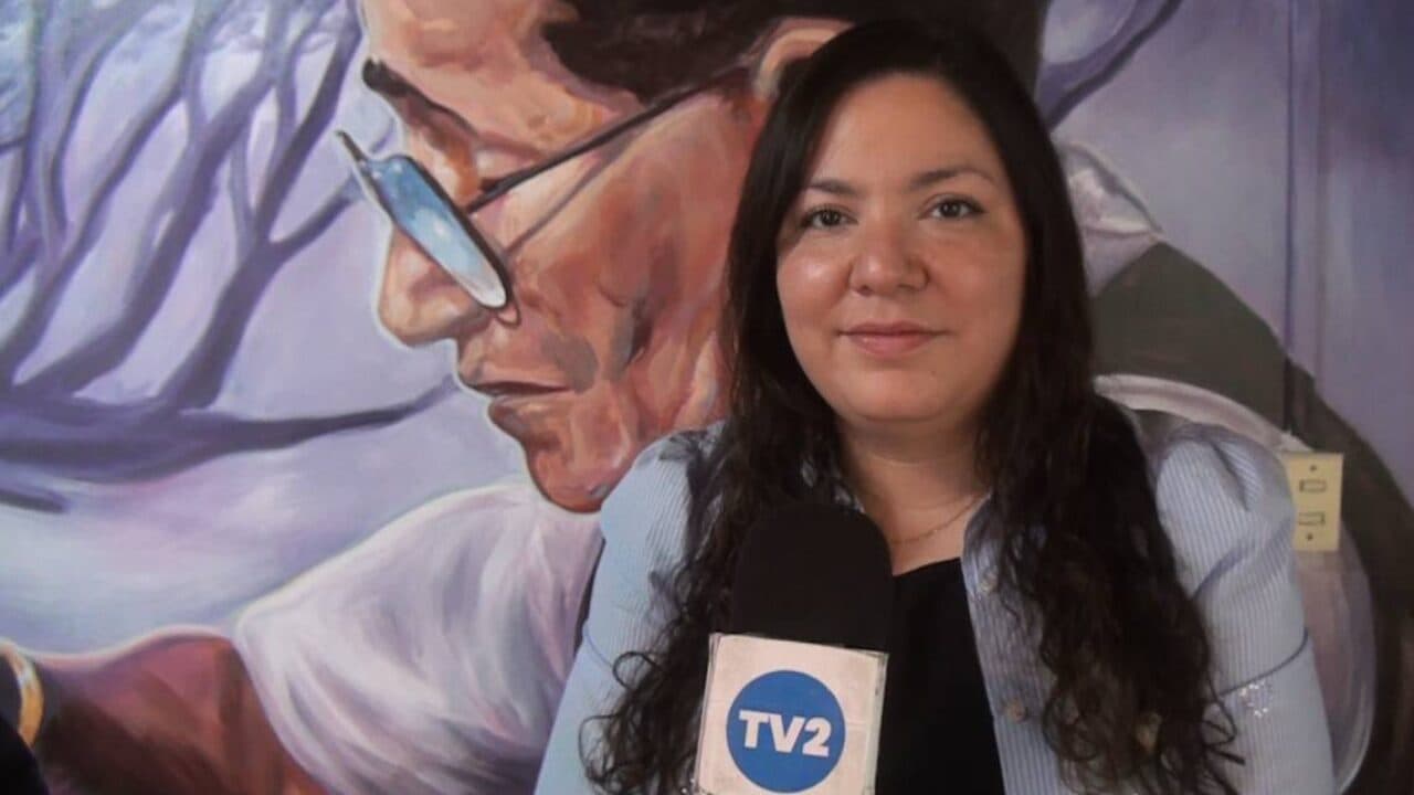 FIESTA DE LAS COLECTIVIDADES CON MÁS DE 20 PARTICIPACIONES