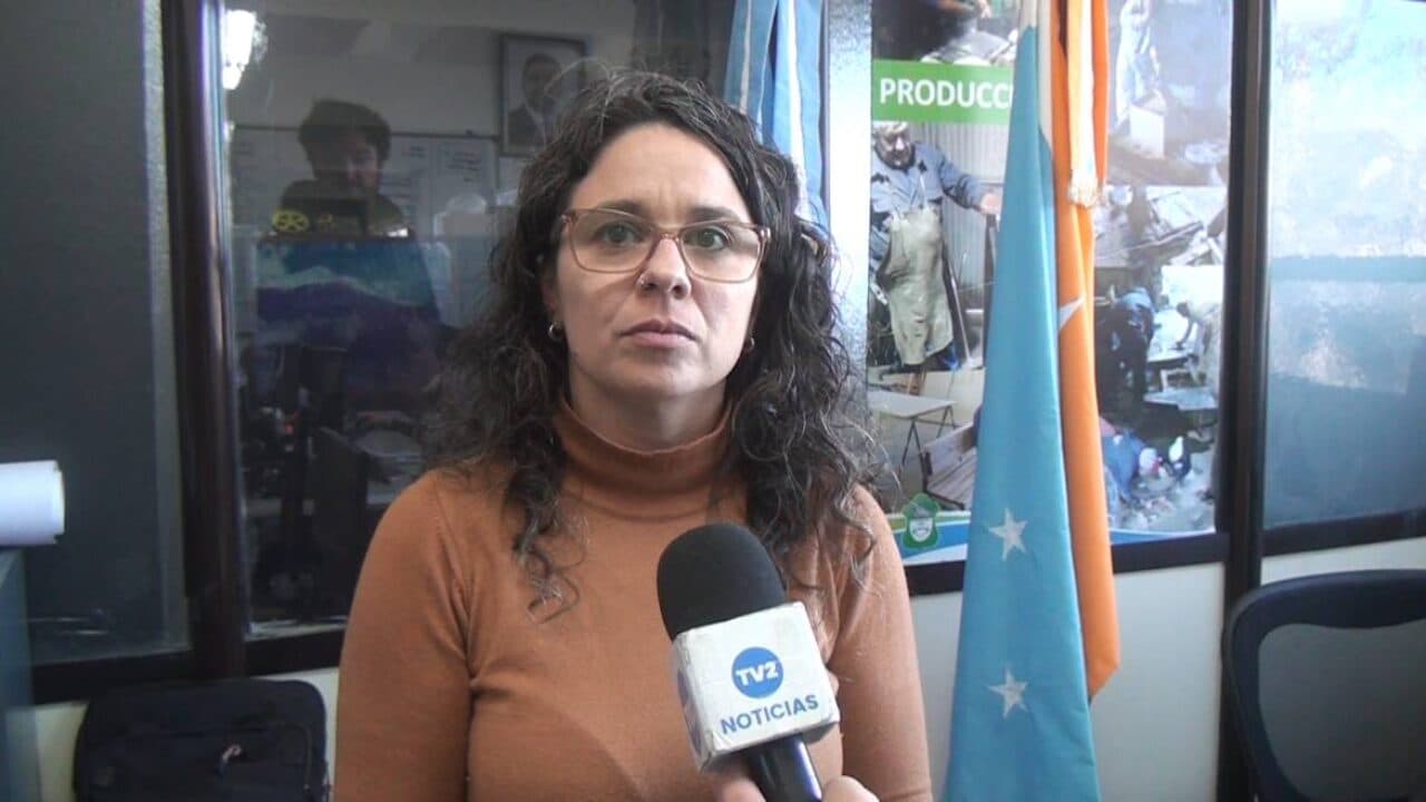 OPERATIVO DE LIMPIEZA TRAS LA ÚLTIMA NEVADA EN USHUAIA