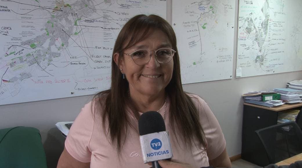 AVANZA EL PROYECTO TÉCNICO DE LA NUEVA USINA DE USHUAIA