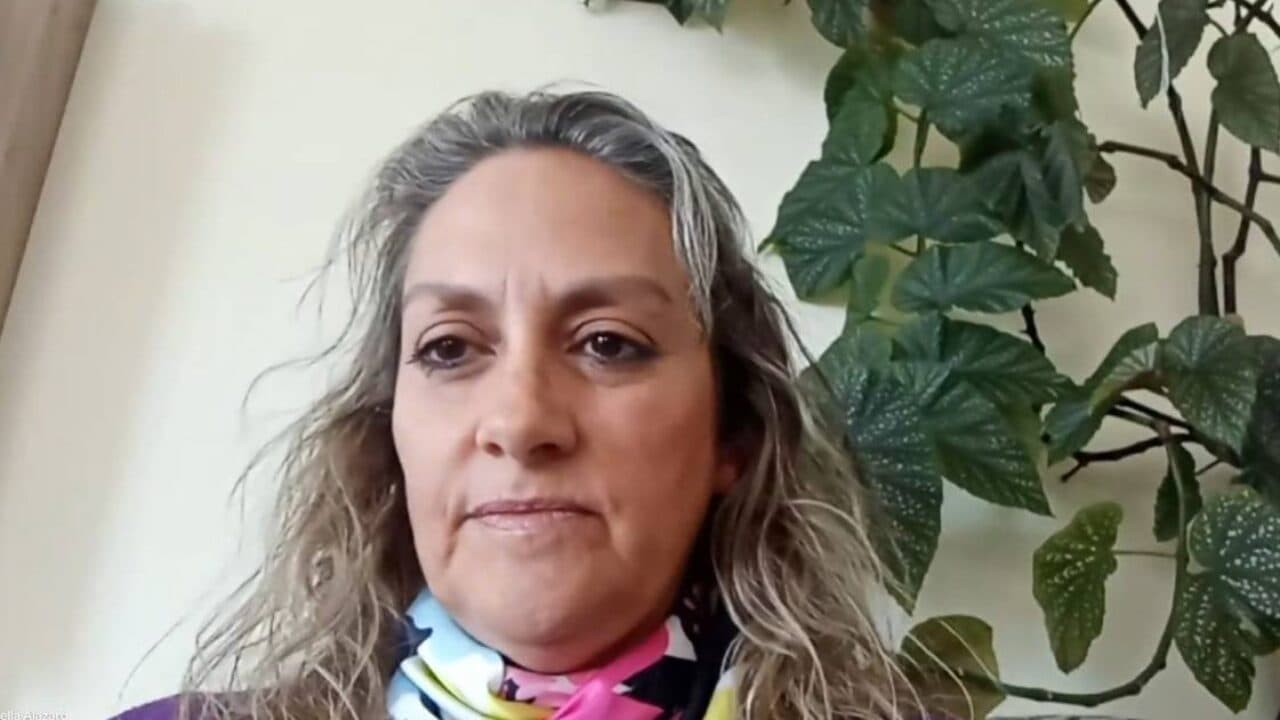 IMPULSAN LA RUTA BINACIONAL FUEGO FIN DEL MUNDO