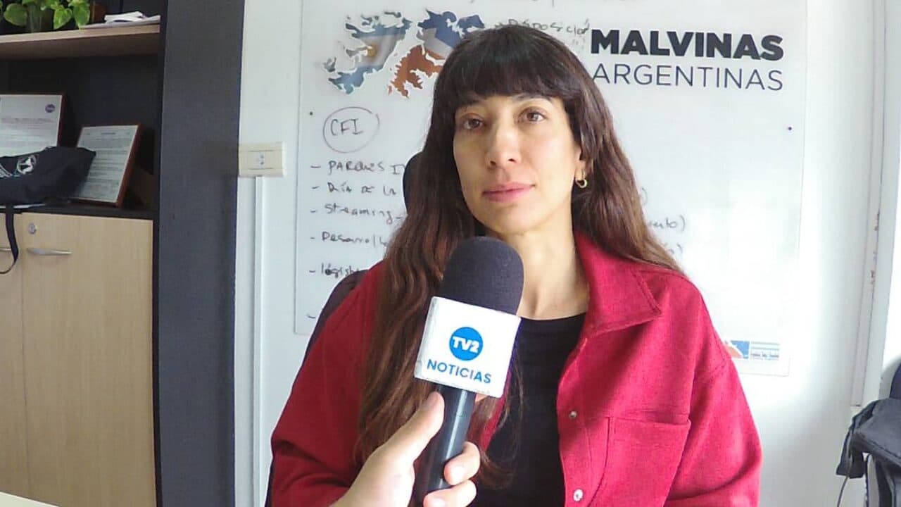 PREOCUPACIÓN DEL GOBIERNO FUEGUINO POR BAJA DE ARANCELES